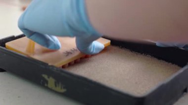 Bitkiler dikim için toprak laboratuvar asistanı hazırlar