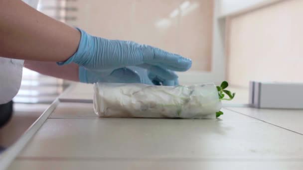 Trabalhos de laboratório biológico com plantas para agricultura — Vídeo de Stock