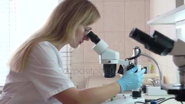 Kobieta asystent laboratorium bada roślin pod mikroskopem — Wideo stockowe