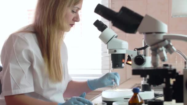 En labb assistent kvinna undersöker en växt under ett Mikroskop — Stockvideo