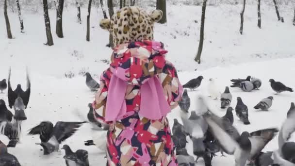 Flicka skrämmer duvor i parken på vintern — Stockvideo