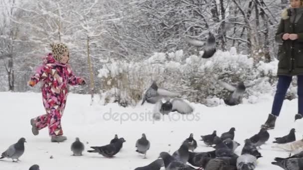 Meisje spelen met duiven in winter park — Stockvideo