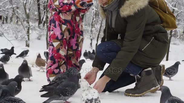 Mamma e figlia danno da mangiare ai piccioni in un parco invernale — Video Stock