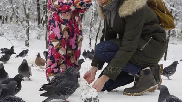 Mor og datter fodrer duer i en vinterpark – Stock-video