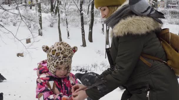 Mamá e hija están alimentando a las palomas en un parque de invierno — Vídeos de Stock