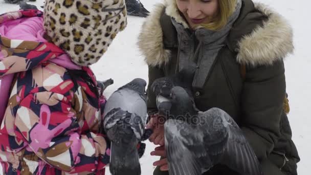 Mãe e filha estão alimentando pombos em um parque de inverno — Vídeo de Stock