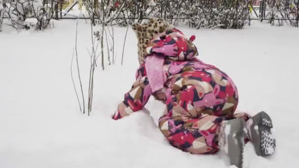 Klein meisje gek rond en duiken worden geconfronteerd in de sneeuw — Stockvideo