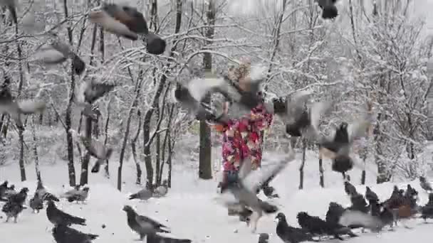 Ένα κοριτσάκι τρέχει μεταξύ τα περιστέρια στο δρόμο χειμώνα πάρκο της πόλης — Αρχείο Βίντεο