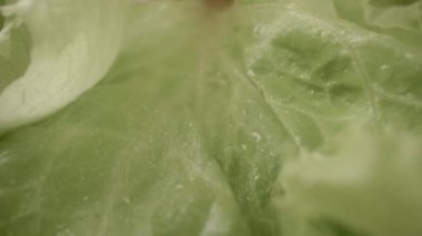 Marul yaprağı, mutfak masasında yeşiller, konu atışı, makro. yemek ve malzemeler