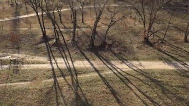 Ormanı, tarlaları, çevreyi, ağaçları ve araziyi, temiz havayı, seyahati, havayı, arka planda uçuşu, kalkışı, bulutlu mavi gökyüzünü, güneşli günü, yerdeki ağaçların gölgelerini, ekolojik yerleri, yolların aşırı büyümesini, helikopter uçuşunu,