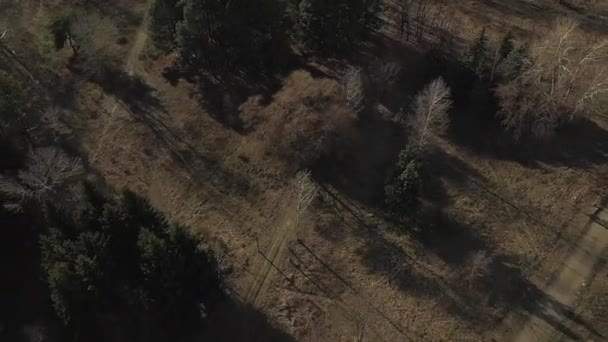 Top Kilátás Nyílik Erdő Mezők Természet Körül Fák Föld Friss — Stock videók