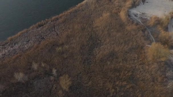 Természet Láthatáron Kilátás Városra Panoráma Erdő Folyó Homok Természet Táj — Stock videók