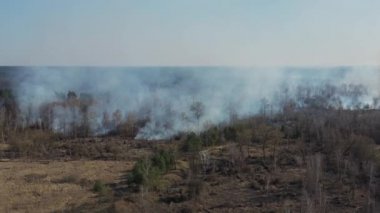 Orman yangını manzarası, helikoptere uçuş, insan eylemlerinin doğası ve sonuçları, flora ve fauna, kuraklık, felaket, su ve yardım eksikliği, yangın, alev ve duman, açık güneşli bir gün.