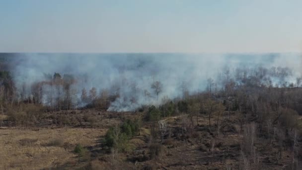 feu de forêt vue de dessus, vol vers le copter, nature et conséquences des actions humaines, flore et faune, sécheresse, catastrophe, manque d'eau et d'aide, incendie, flamme et fumée, journée ensoleillée 