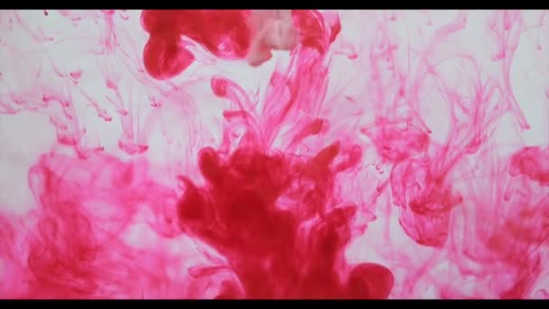 Peintures Dans Eau Abstraction Avec Des Peintures Contexte Texture Pour — Video