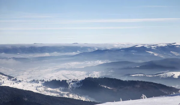 Kayak yapmak ve snowboard yapmak harika bir kış dönemidir. Spor yapmak ve güzel manzarayı izlemek, daha iyi ne olabilir ki??