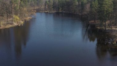 Ağaçların ve çam ağaçlarının üst görüntüsü, yerdeki dalların gölgeleri, grafik geometrik desen, temiz ekoloji bölgesi, orman, vahşi yaşam ve gezginler için bir yer, bir nehir ve kıyılar tarafından yıkanan bir göl.