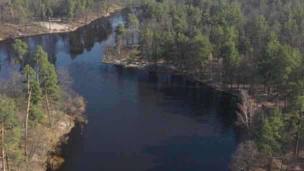 Ovanifrån Träd Och Tallar Skuggor Från Grenar Marken Grafiskt Geometriskt — Stockvideo