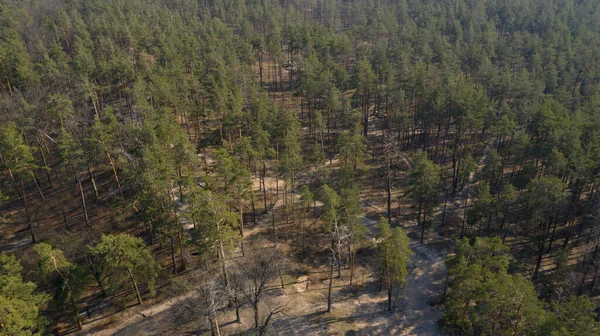 Ormanı tepeden görmek, helikopterle ağaçların üzerinden uçmak, gün batımı ve dinlenme, seyahat ve meditasyon için bir yer. Flora, fauna ve vahşi yaşam, ekoloji, temiz bölge