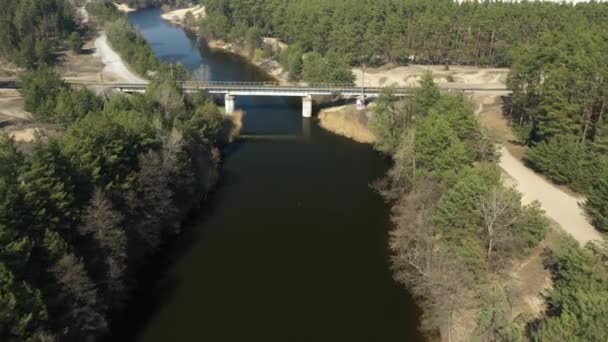 过河铁路的俯瞰全景 横跨池塘的桥 飞越森林 运输和基础设施 — 图库视频影像