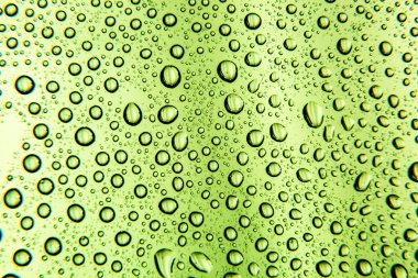 arkaplan yeşili makro damla ile