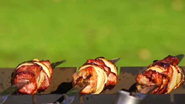 BBQ op tuin in zomer close-up — Stockvideo