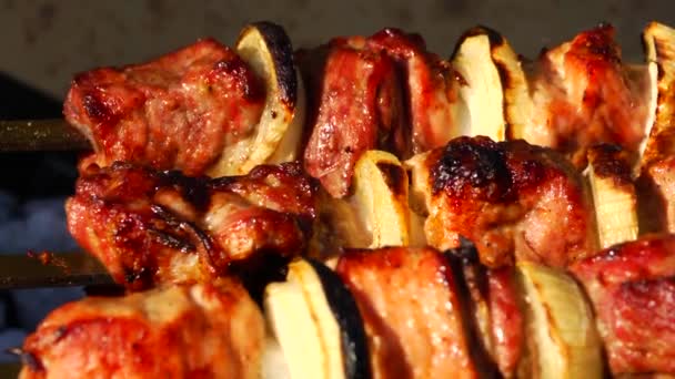 BBQ in braizer close-up — Stockvideo