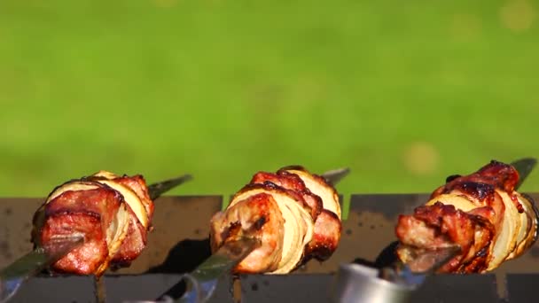 BBQ on garden at summer close-up — Stock Video