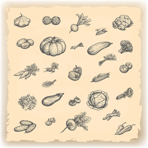Skizze Doodle handgezeichnete Set Gemüse — Stockvektor