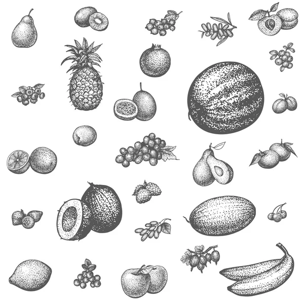 Sketch doodle gambar tangan set buah - Stok Vektor