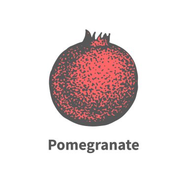 Vektör çizilmiş tek sulu olgun nar