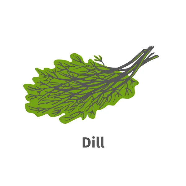 熟した緑ディルのベクトル手描き植物のヒント — ストックベクタ