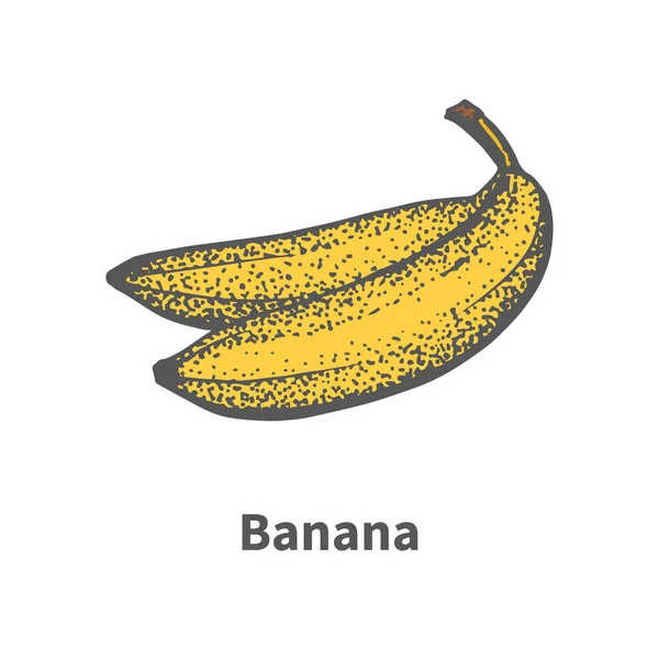 ベクトル イラスト手描き熟した黄色バナナ — ストックベクタ