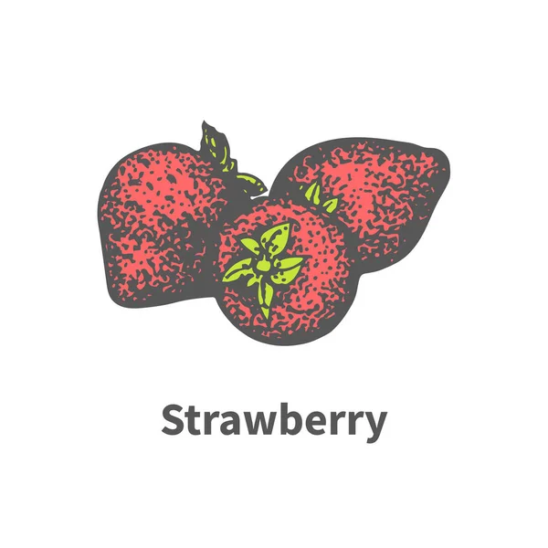 Juicy matang strawberry merah dengan daun hijau - Stok Vektor