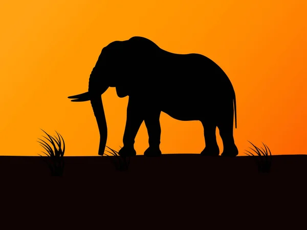Elefante de silueta vectorial sobre puesta de sol de fondo — Vector de stock