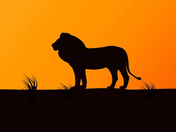 Silhouette vectorielle lion sur fond de coucher de soleil — Image vectorielle