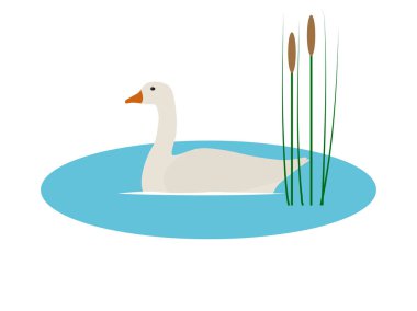 Vektör çizim Vahşi kaz havuzda sazlar ile