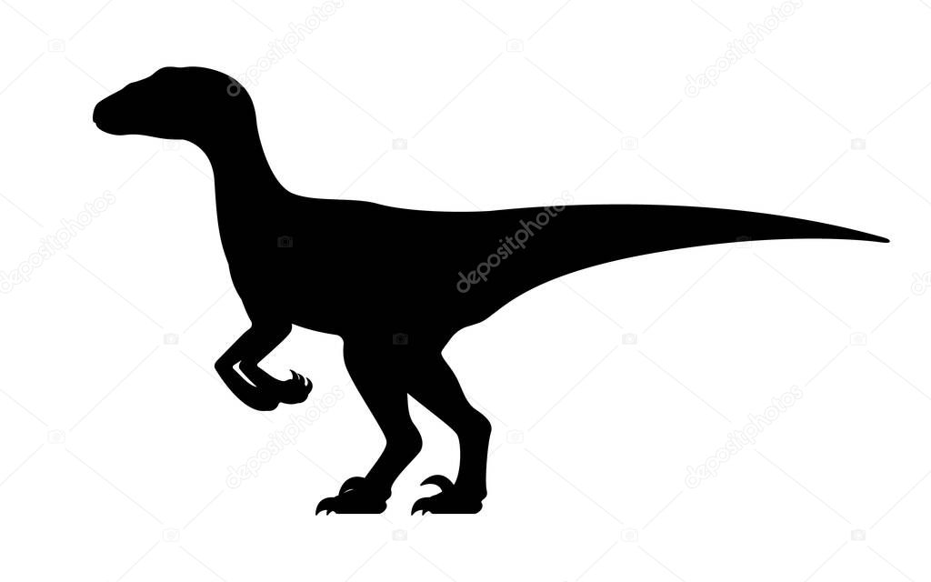Velociraptor silhouette. Vector illustration black silhouette raptor dinosaur isolated on white background. Dinosaur logo icon, side view profile.