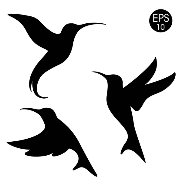 Vektor schwarze Colibri Silhouette. Vögel auf weißem Hintergrund — Stockvektor