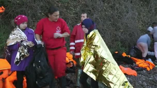 Lesbos, Grekland - 5 Nov 2015: Volontärer hjälpa flyktingar att gå på stranden. — Stockvideo