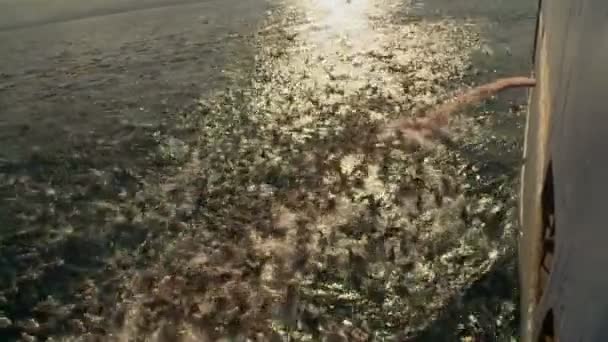 Чайки стекаются на рыбные отходы с корабля — стоковое видео