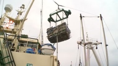 Balık balıkçılık balıkçı teknesine taşıma gemide boşaltma.