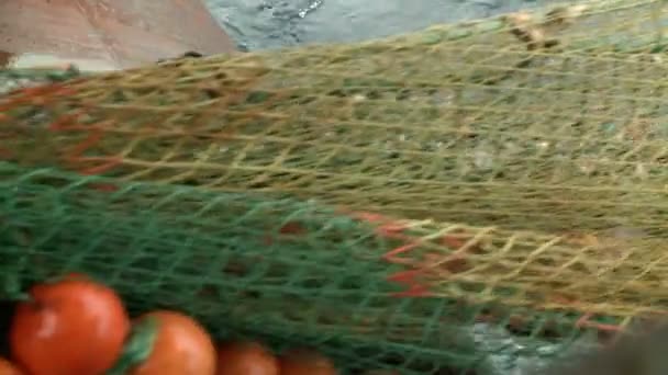 Details der Schleppnetzfischerei, die aus dem Meer aufsteigt. — Stockvideo