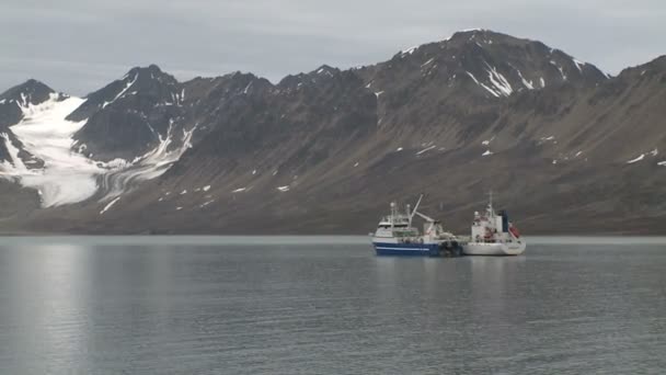 Statki wycieczkowe płynąc wzdłuż wybrzeża. Svalbard. — Wideo stockowe