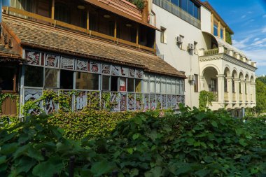 En göze çarpan ev Standart Oda, eski şehir büyümüş yabani üzüm. Tiflis, Gürcistan