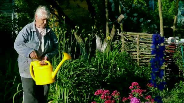 꽃을 급수 하는 정원에서 노인 여성 — 비디오