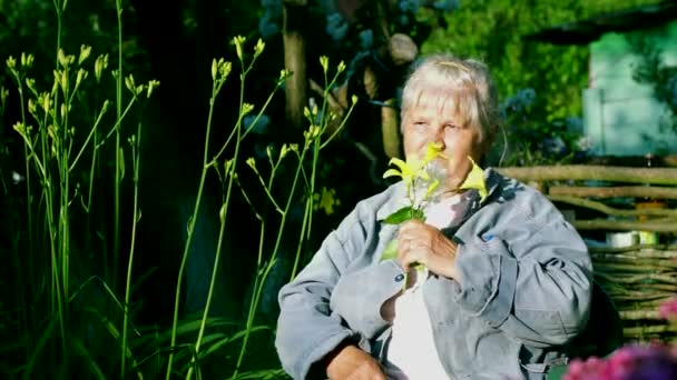 Little grandson gives flowers to his grandmother in the garden — Stock Video