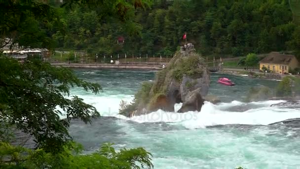 Visa Rhine faller (Rheinfall) i Schweiz - en av de största i Europa. — Stockvideo