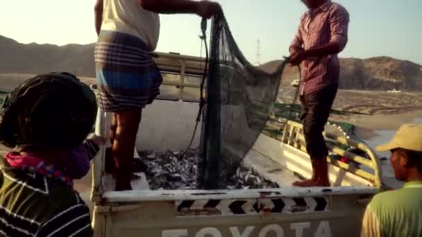 Pescadores Dos Emirados Árabes Unidos Arrastam Rede Com Peixes Parte — Vídeo de Stock