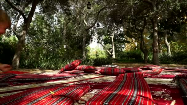 Divertido Niño Corre Regocija Parque Alfombras Colchones Emiratos Árabes Unidos — Vídeo de stock